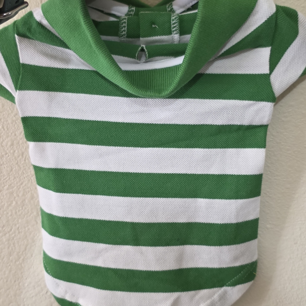 Green and White Striped Dog Sweater